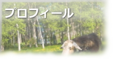 プロフィール